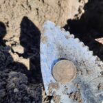 Here's Some Of My Most Recent Finds Legend - 5