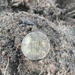 Made It Out Yesterday For a Few Hours - 2