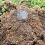 I Chose a Nokta Triple Score Metal Detector - 1