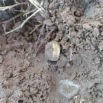Metal Detecting at the Park: Today's Awesome Finds - 5