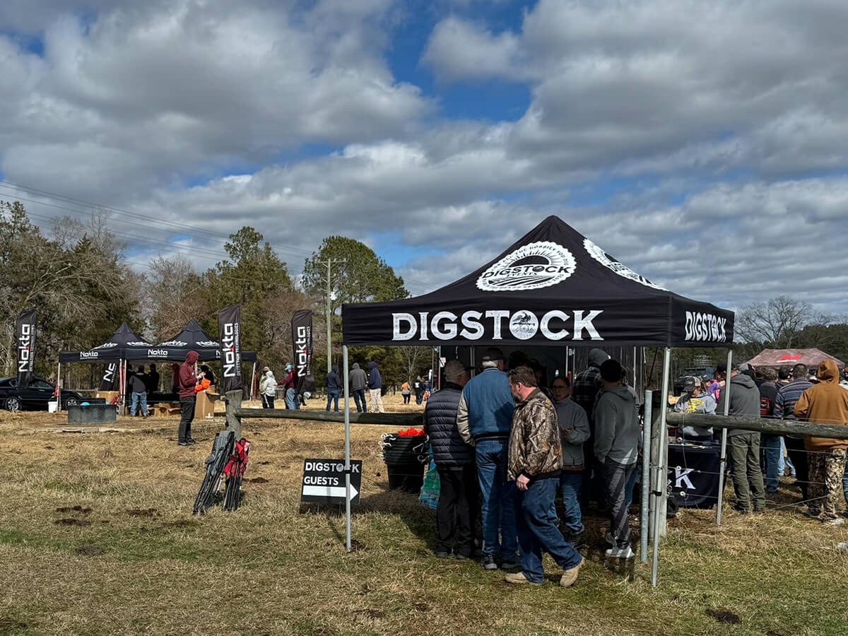 Digstock 2025 - 7