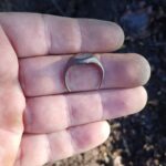 First Gold Of The Year For The Legend - 2