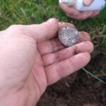 The Legend Strikes Again! - 2