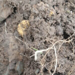 The Legend Strikes Again! - 3