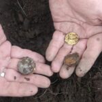 The Legend Strikes Again! - 4