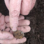 The Legend Strikes Again! - 5