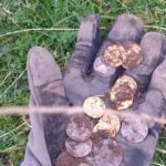 The Legend Strikes Again! - 6