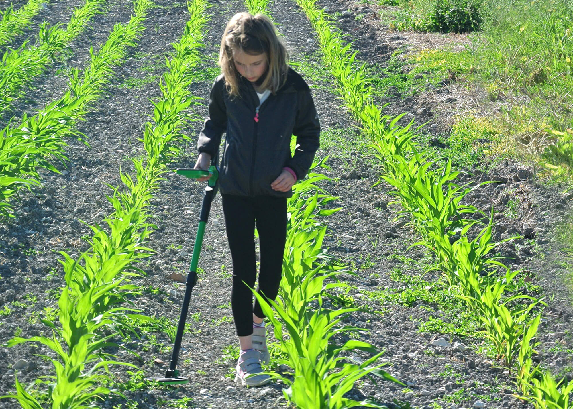 Nokta Midi Hoard Kids Detector Outdoor Photo - 1