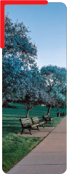 PARK