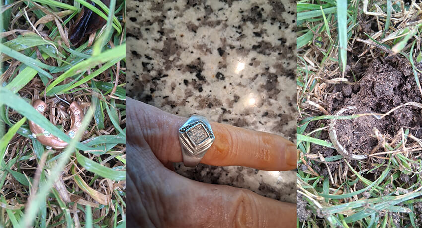 A Massive Haul with the Nokta Legend in 3 Hours