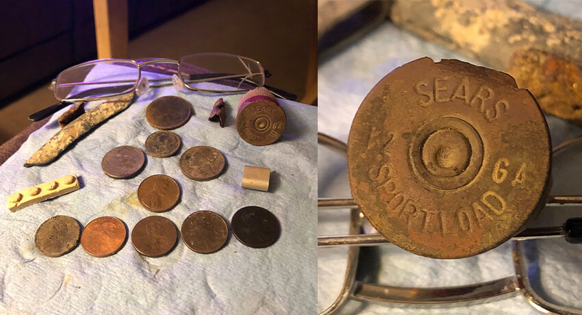 Misty Morning Hunt: Scouting a New Site