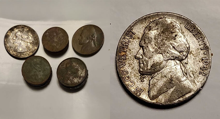 The Legend Detector’s Findings from the Past Two Weeks