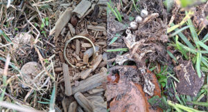 California Metal Detecting Nokta Legend Tiffany Finds - Cover