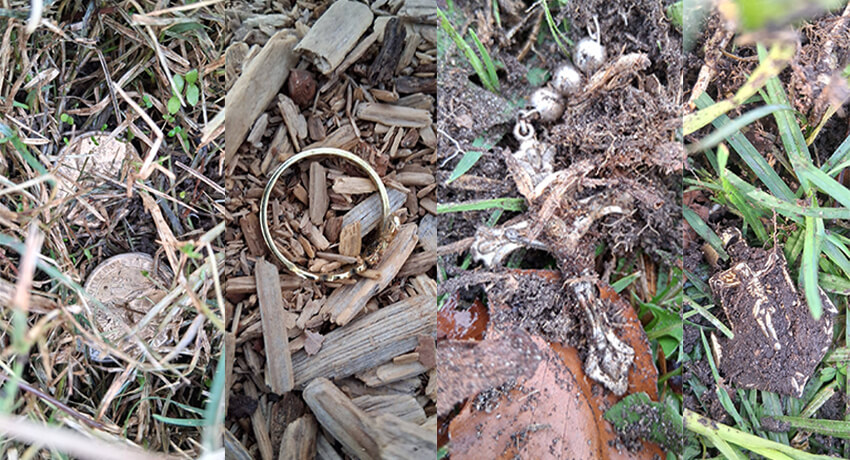 California Metal Detecting Nokta Legend Tiffany Finds