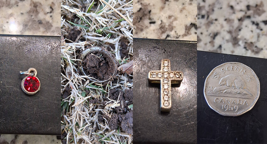 From Rings to Coins: A Rewarding 3-Hour Nokta Legend Hunt