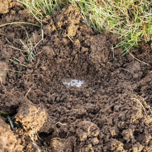 My First Hunt Ever in January - 1