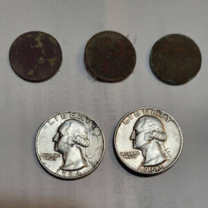 My First Hunt Ever in January - 4