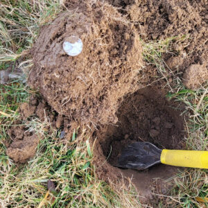 My First Hunt Ever in January - 5