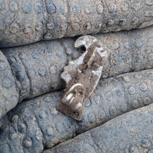 One Of My Best Finds Last Year - 2