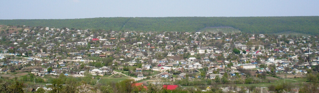 Vasmocons