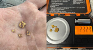 Pictures of CarsonChris’s Gold Finds with Magnetar 9000 - Cover