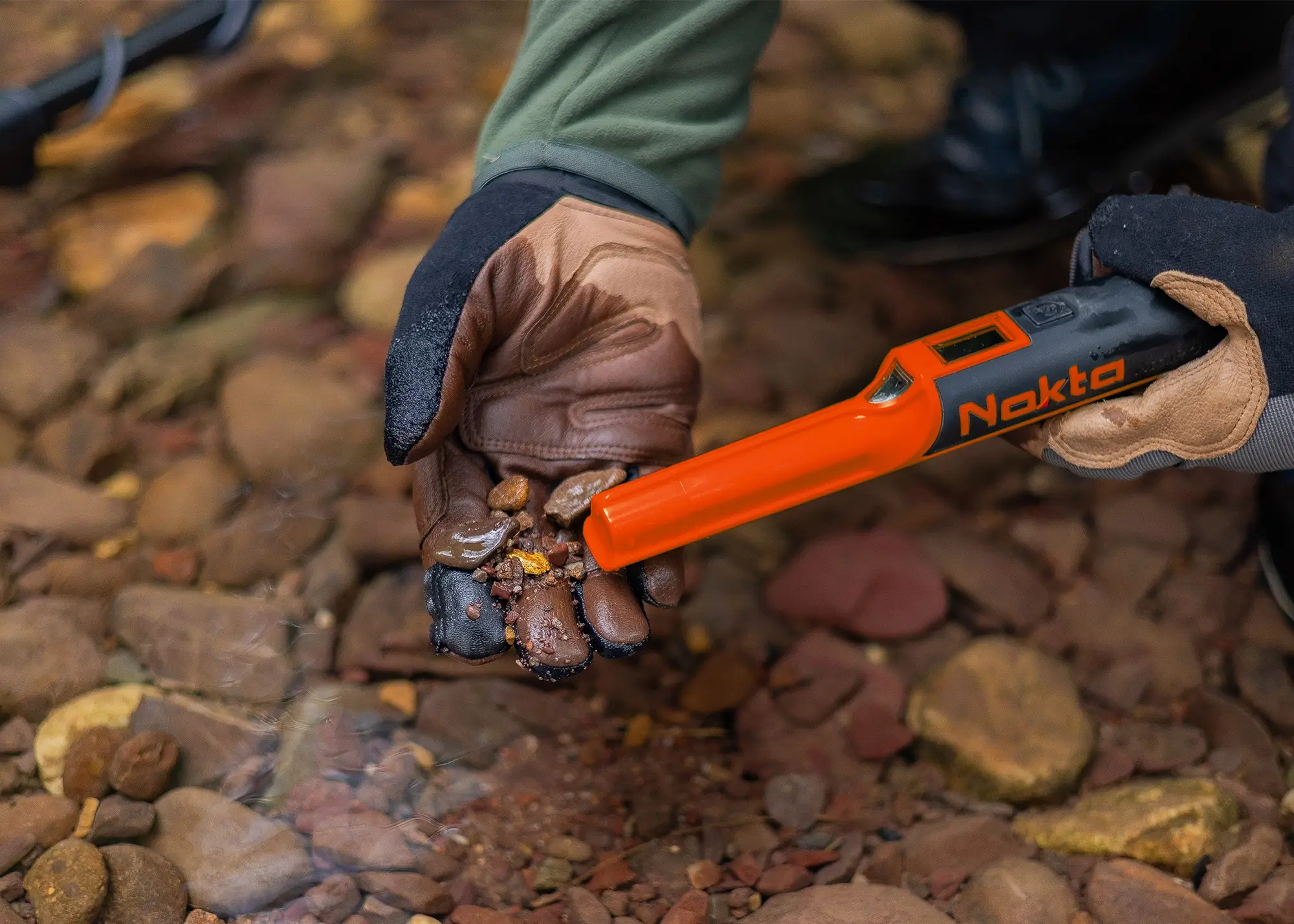 Nokta AccuPOINT LITE Pointer Outdoor Photo - 4