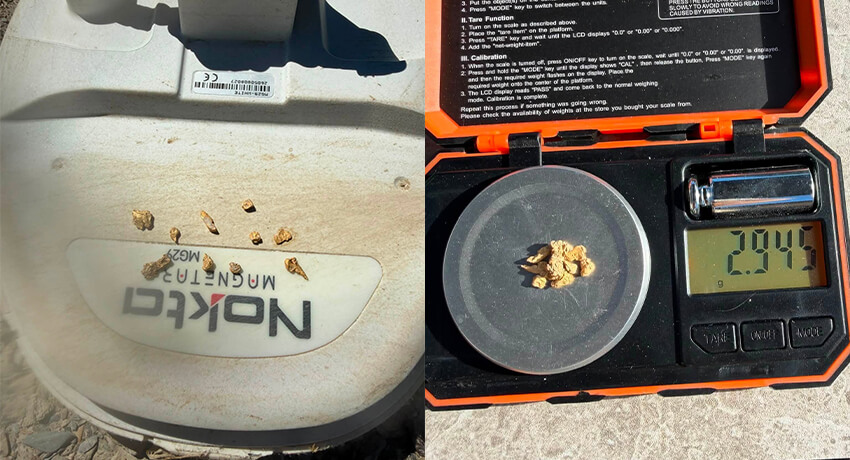 Golden Mornings: Unearthing 2.945 Grams of Gold with the Nokta MAGNETAR 9000