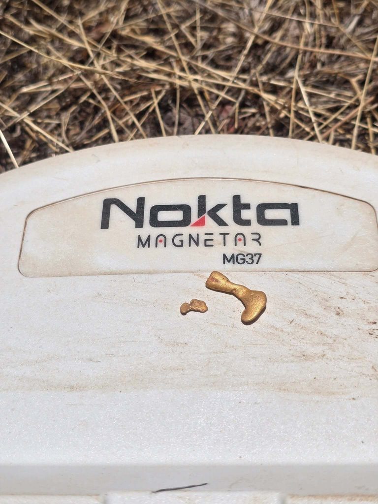 Magnetar 9000 Finds a 2.71 Gram Gold Nugget - 2