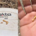 Magnetar 9000 Finds a 2.71 Gram Gold Nugget - Cover