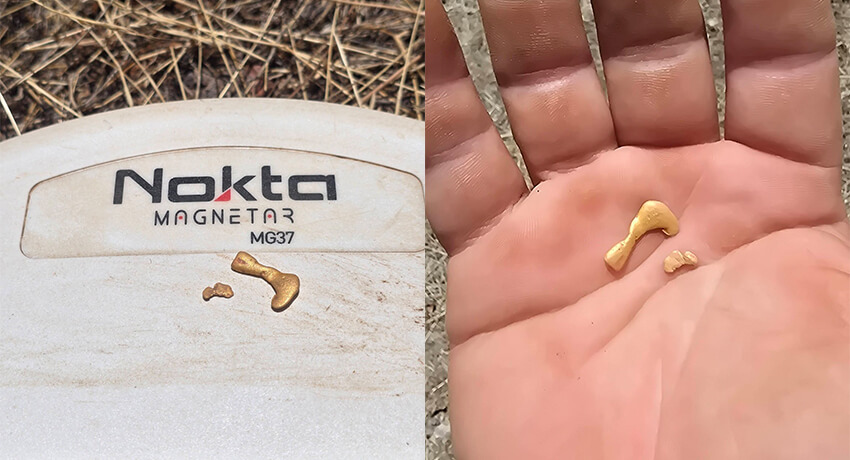 Magnetar 9000 Finds a 2.71 Gram Gold Nugget