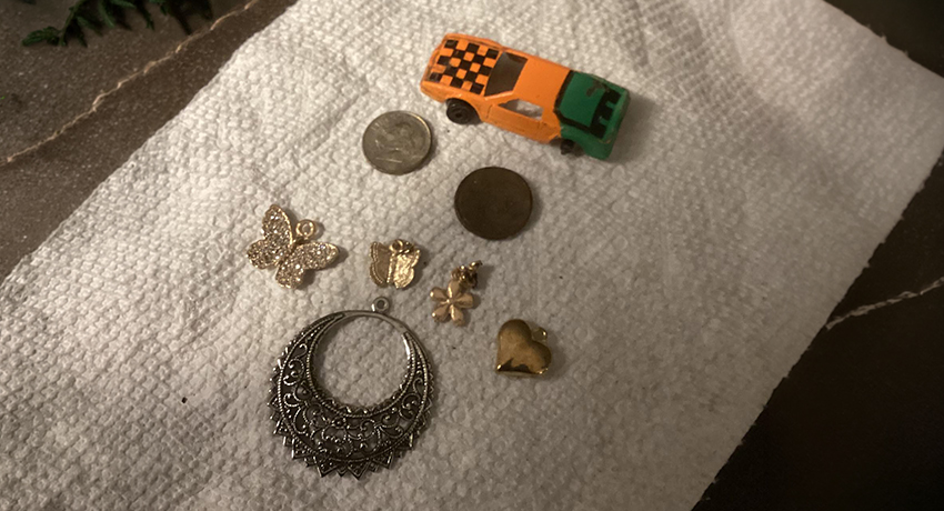 First Metal Detecting Hunt in Retirement: Finding Joy with Nokta